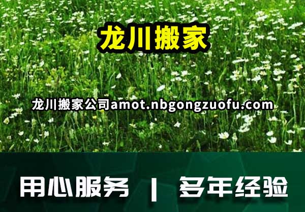 龙川搬家
