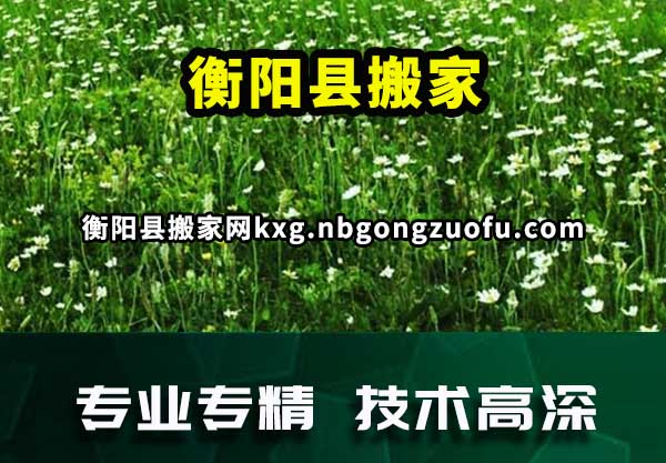 衡阳县搬家
