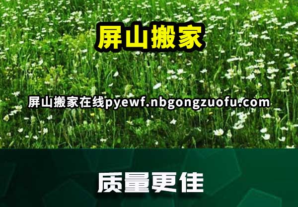 屏山搬家